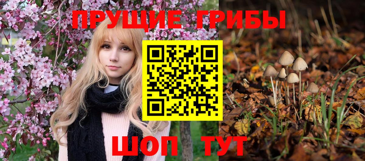 Галлюциногенные грибы Magic Shrooms  Вход с VPN  купить наркотик  Галлюциногенные грибы Cubensis  Элиста 
